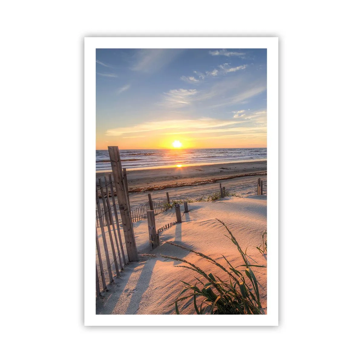 Plakát - Odlesk a stín větru - 61x91 cm