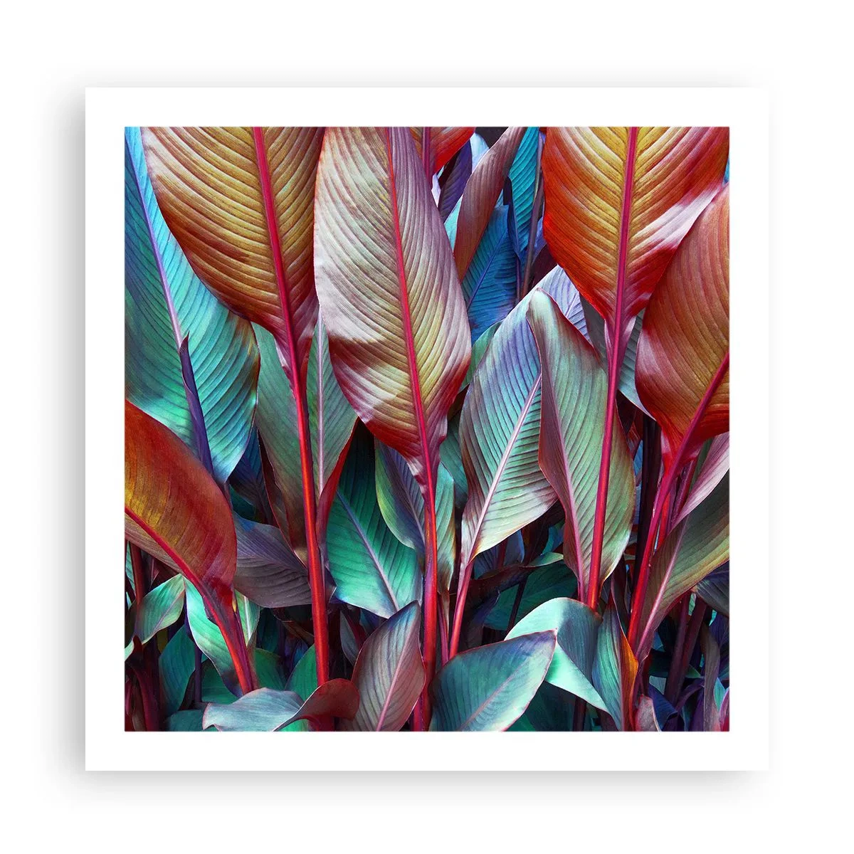 Plakát - Barevná houština - 60x60 cm