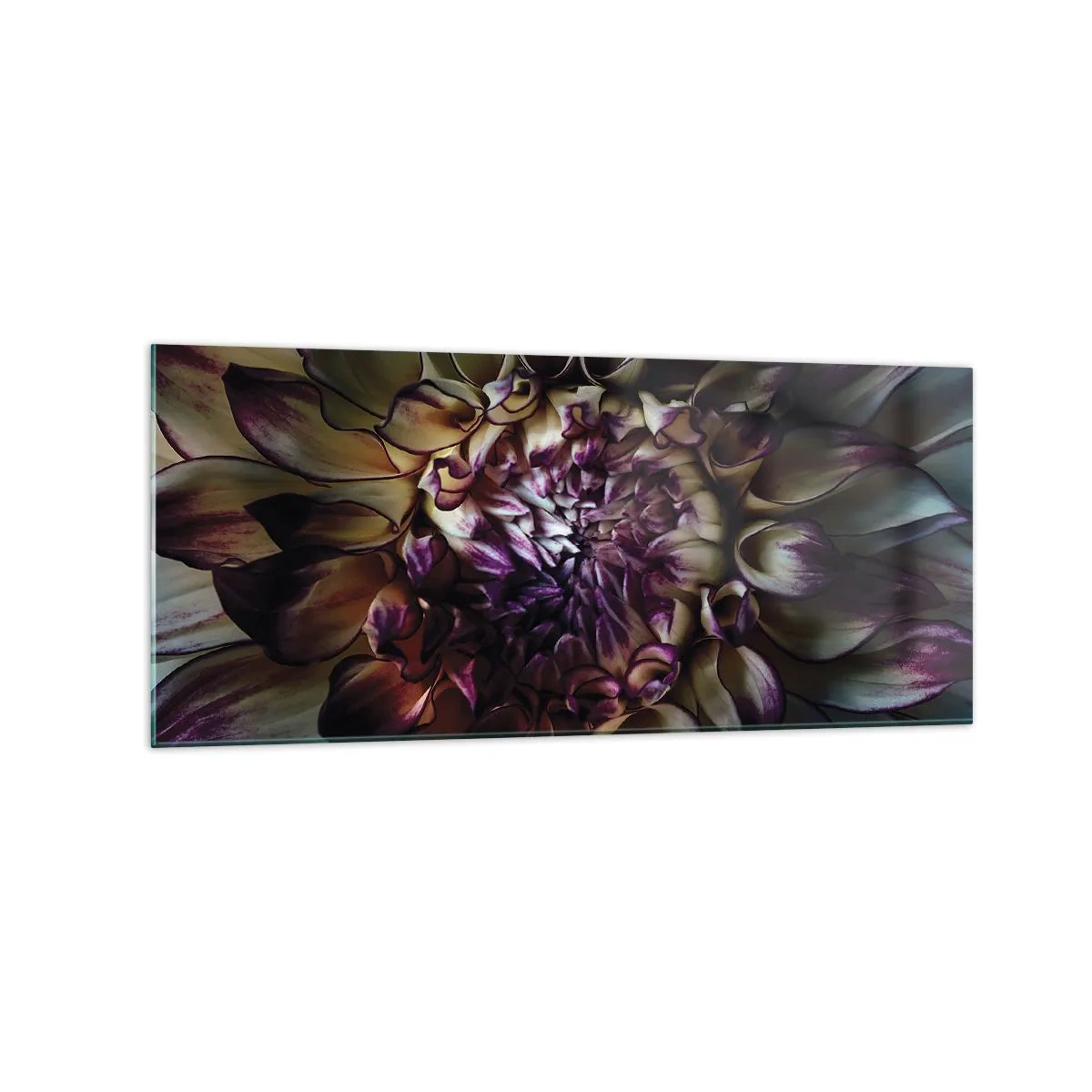 Obraz na skle - Rozkvět mládí - 120x50 cm