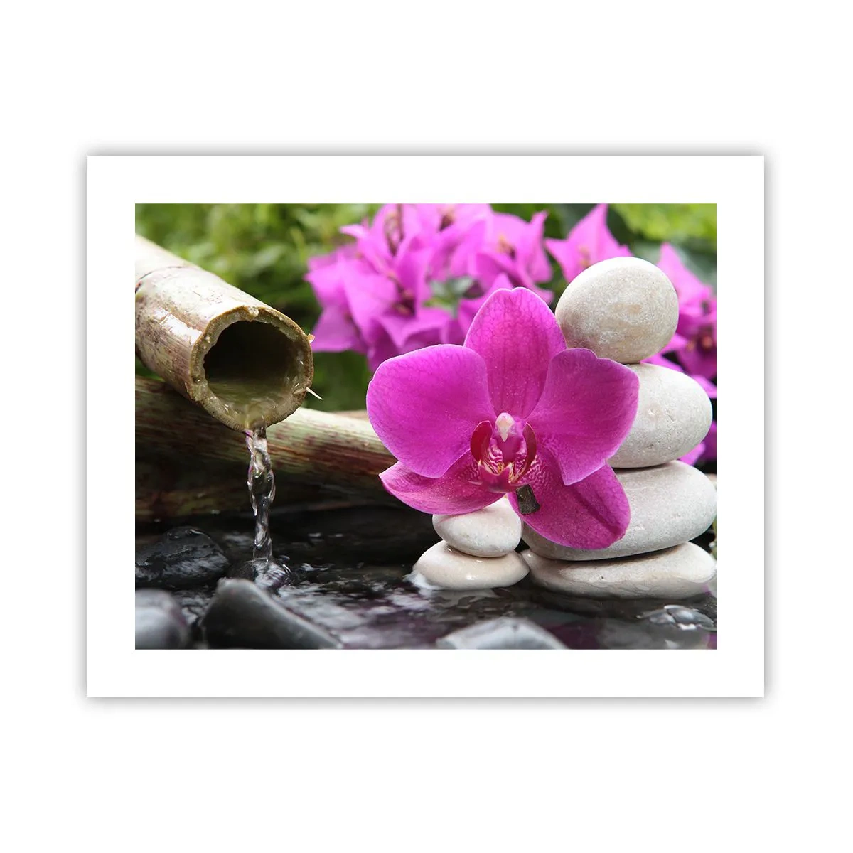 Plakát - Už odpočíváš - 50x40 cm