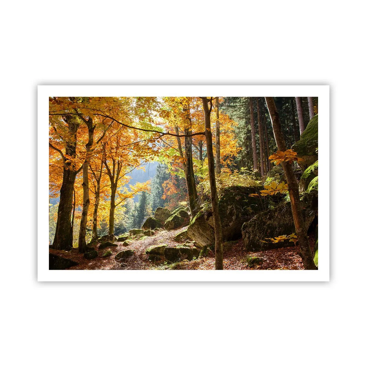 Plakát - Čas na odpočinek - 91x61 cm