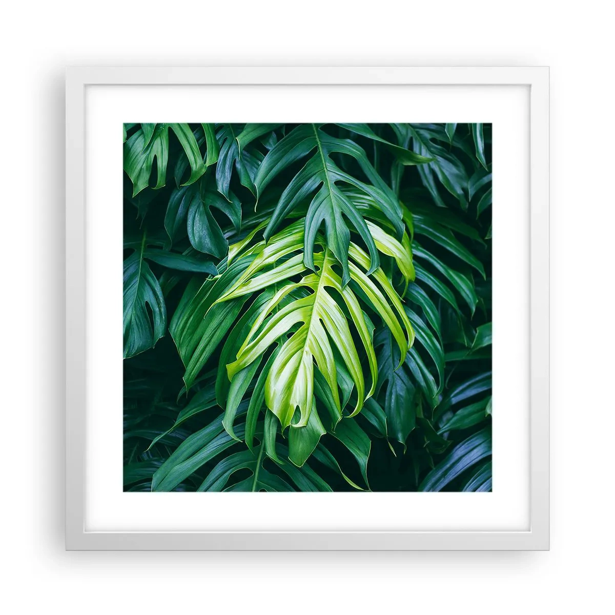 Plakát v bílém rámu - Ponořit se do svěžesti - 40x40 cm