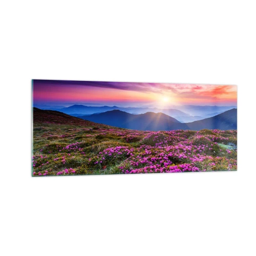 Obraz na skle - Zavoněly svěží pupeny bylinek z obilných polí - 100x40 cm