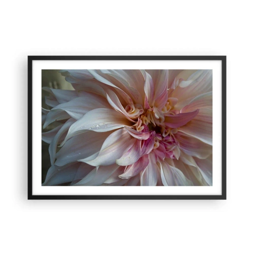 Plakát v černém rámu - Kvetoucí svěžest - 70x50 cm