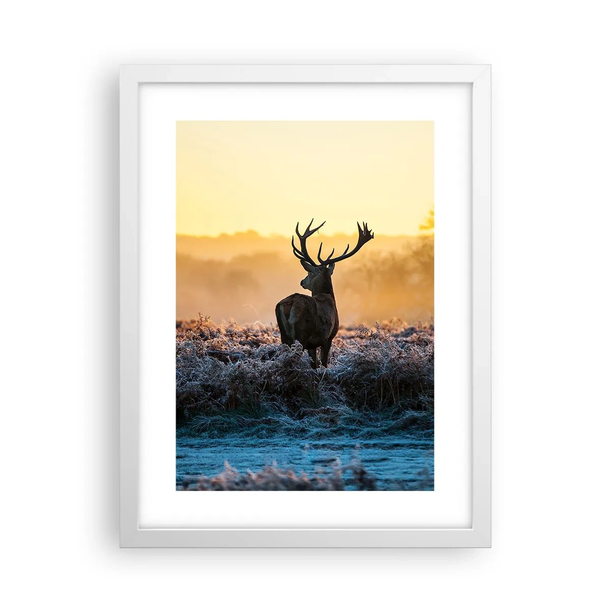 Plakát v bílém rámu - Korunován na svém panství - 30x40 cm