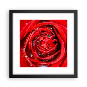 Plakát v černém rámu - V kapkách rosy - 30x30 cm