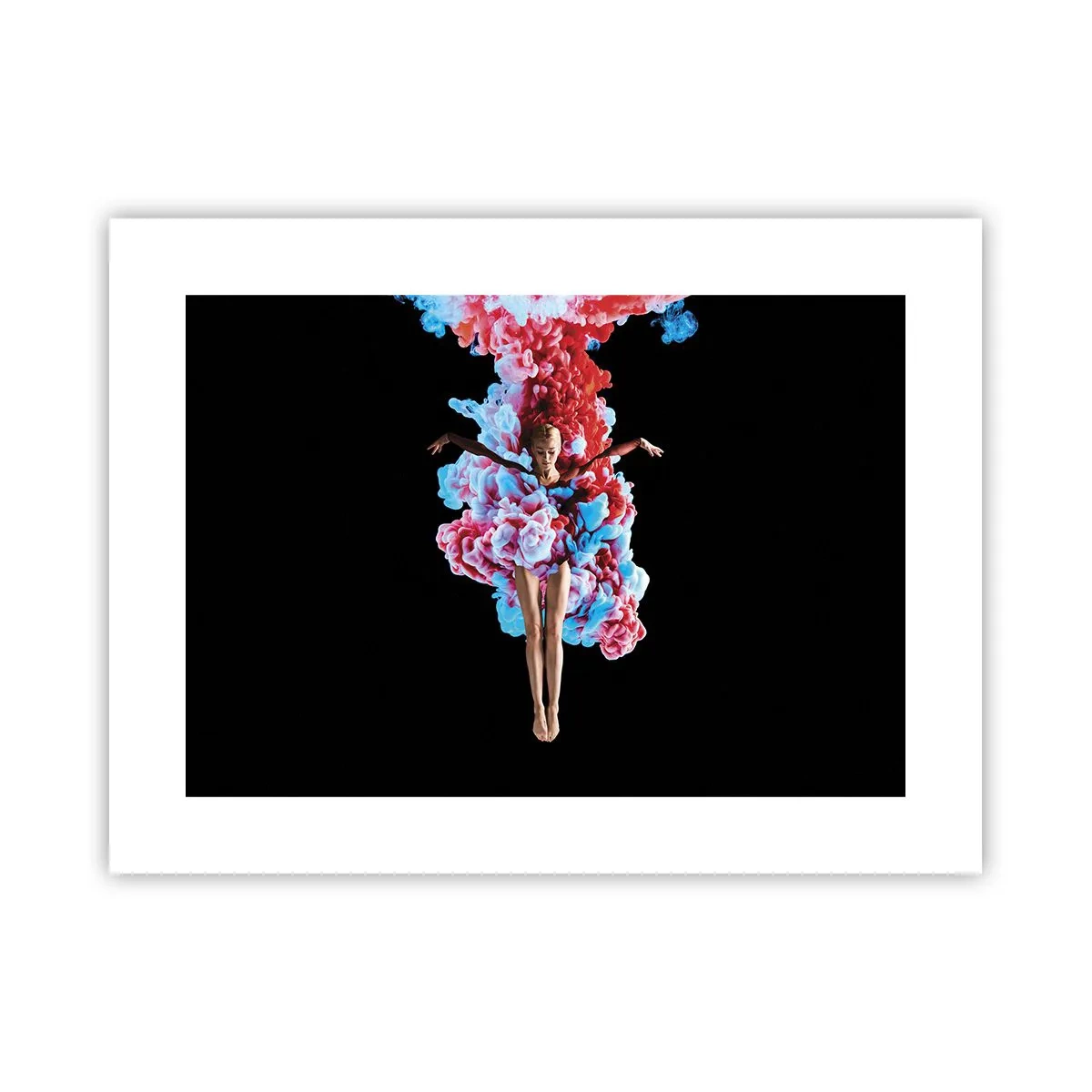 Plakát - V plném květu - 40x30 cm