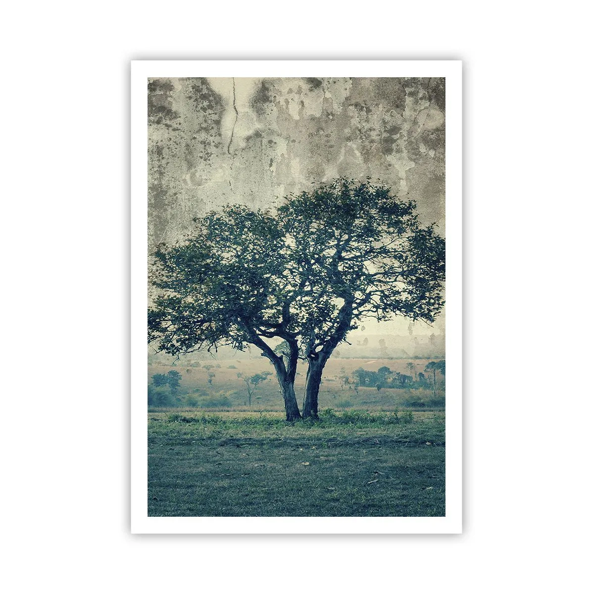 Plakát - Jabloň na modrém poli? - 70x100 cm