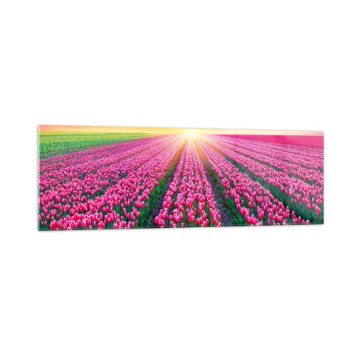 Obraz na skle - Farma krásy - 160x50 cm