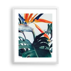 Plakát v bílém rámu - Ptákeř - 40x50 cm