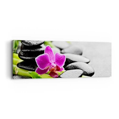Obraz na plátně - V klidné rovnováze - 90x30 cm
