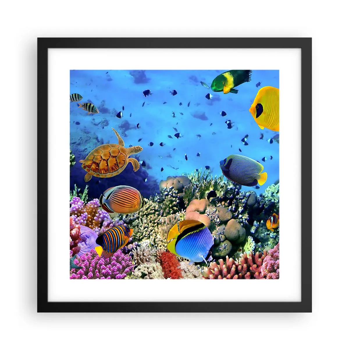 Plakát v černém rámu - Co víme o životě… - 40x40 cm