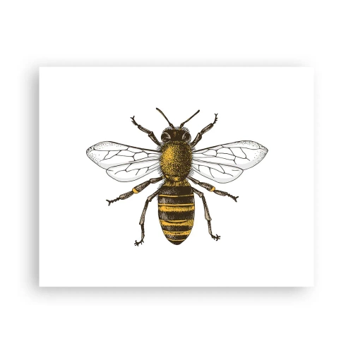 Plakát - Krásná a dobrá - 50x40 cm