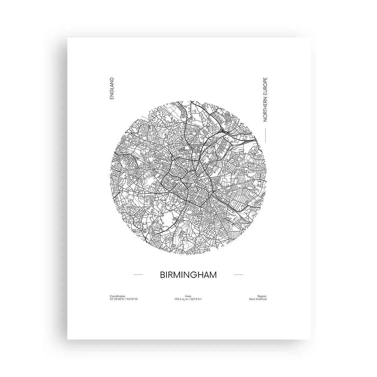 Plakát - Anatomie Birminghamu - 40x50 cm