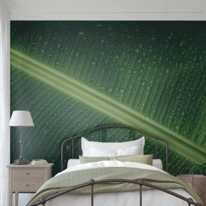 Fototapeta Standard Eco - Struktura zelené - Zelený list, Tropická rostlina, Kus - 350x256 cm