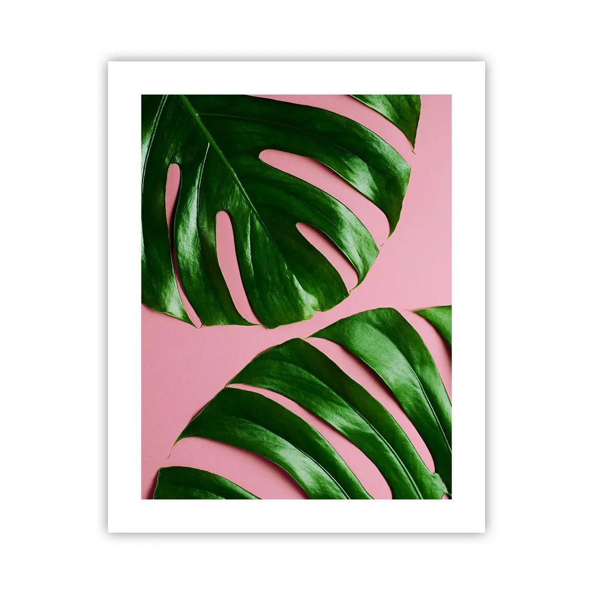 Plakát - Zelené rendez-vous - 40x50 cm