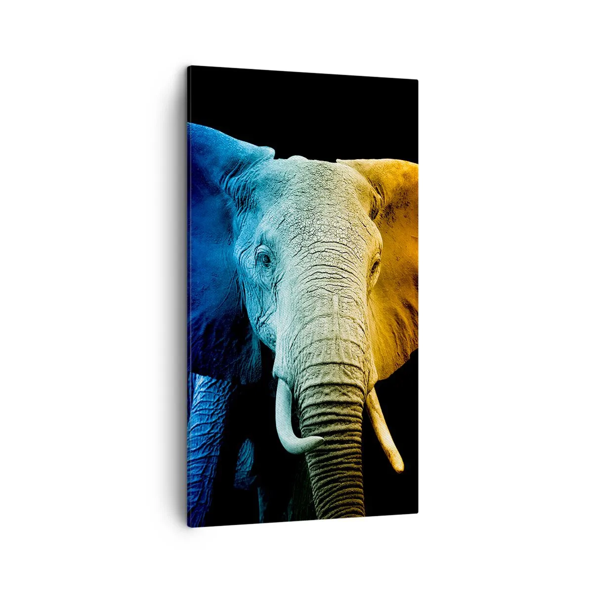 Obraz na plátně - Výstřední muž, ale ne podivín - 45x80 cm