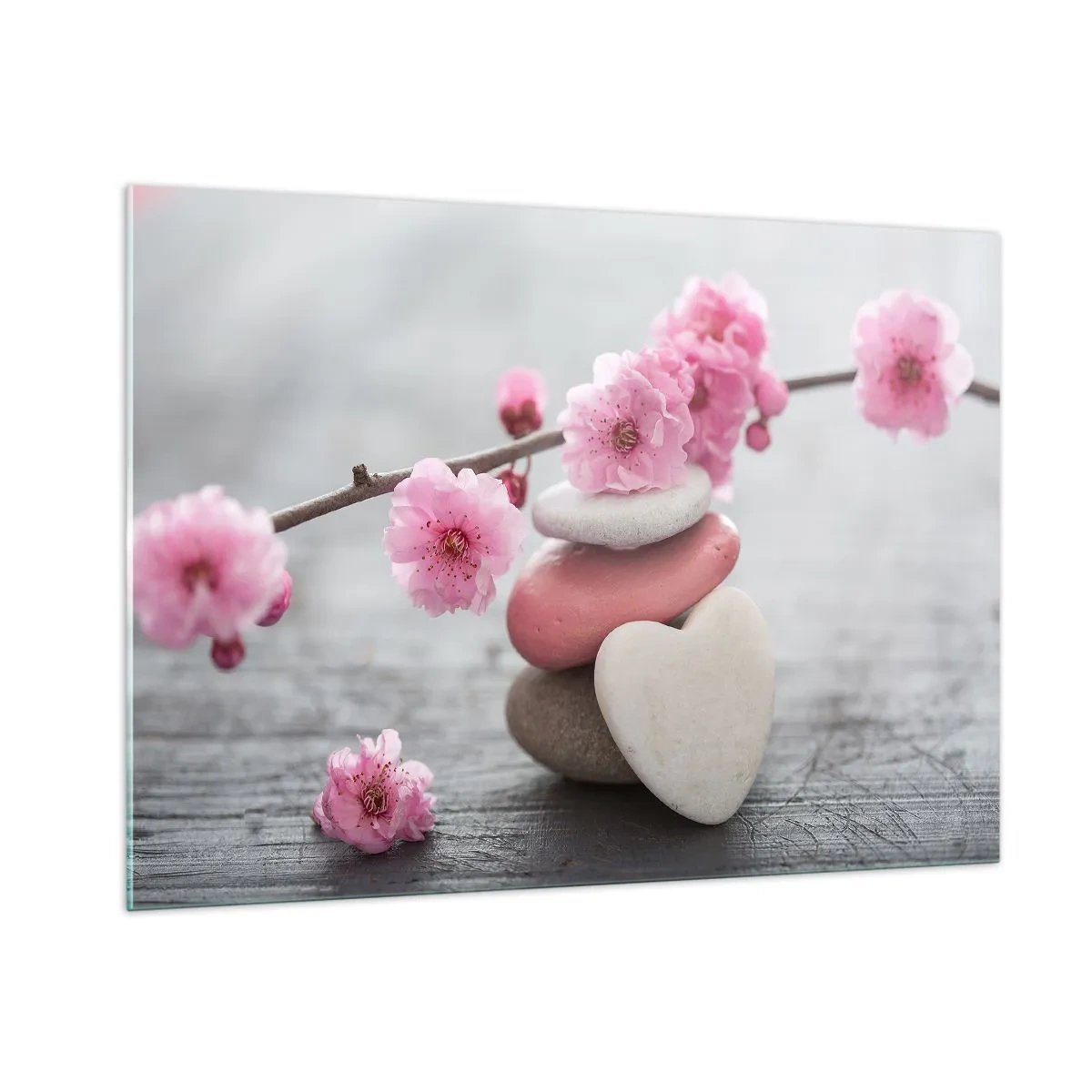 Obraz na skle - Blaženost s višňovým květem - 100x70 cm