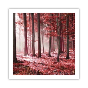 Plakát - Červená je stejně krásná - 60x60 cm