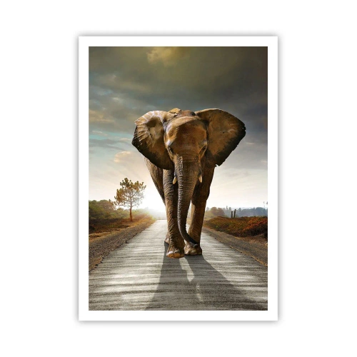 Plakát - A vůbec ne ve skladu porcelánu - 70x100 cm