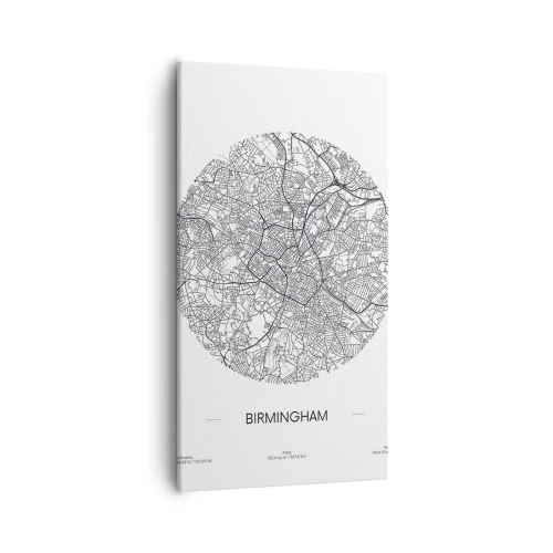 Obraz na plátně - Anatomie Birminghamu - 55x100 cm