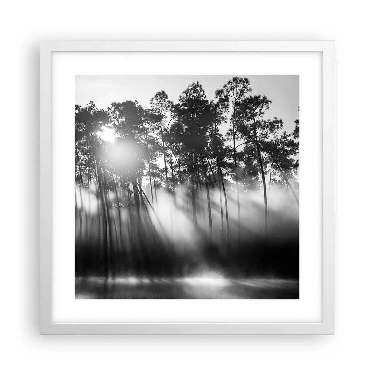 Plakát v bílém rámu - Nezastavitelné slunce - 40x40 cm