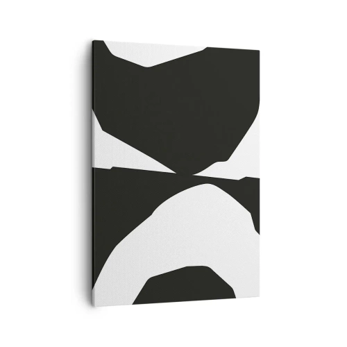 Obraz na plátně - Positive-negative - 50x70 cm