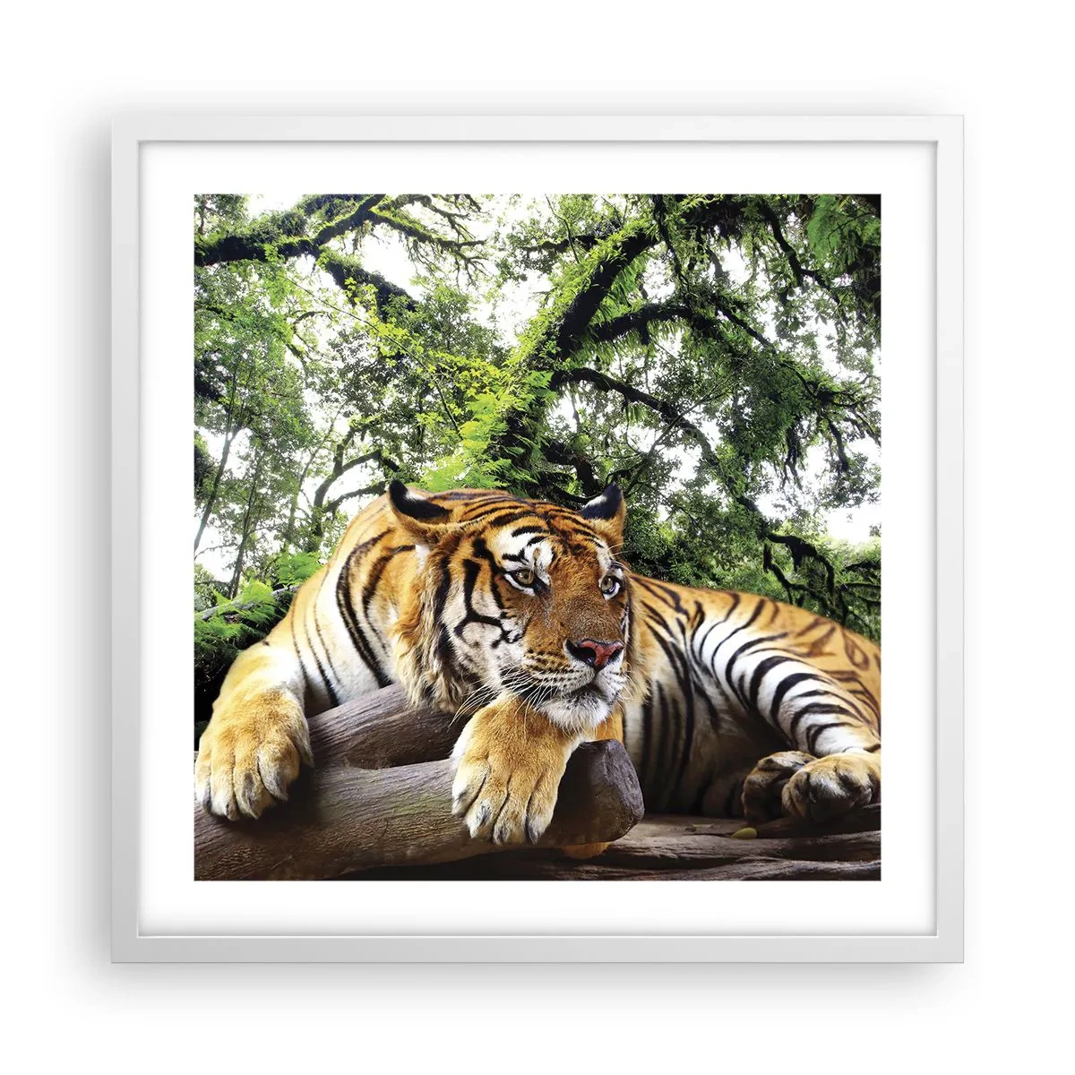 Plakát v bílém rámu - S úctou - 50x50 cm