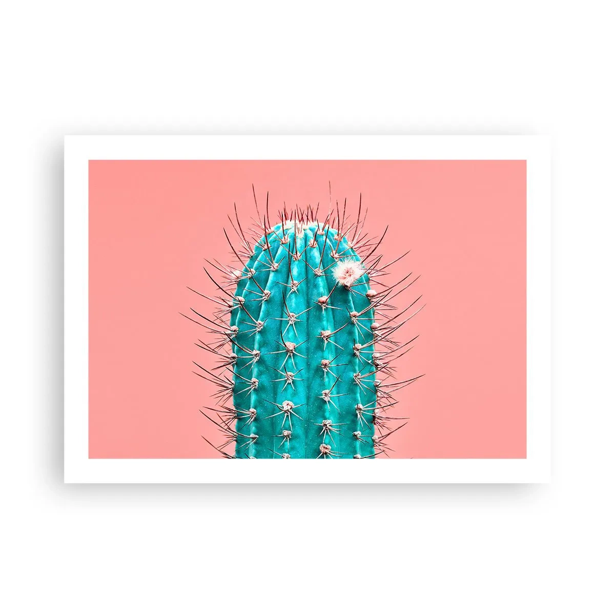 Plakát - Jen koukej - 70x50 cm