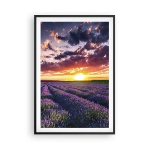 Plakát v černém rámu - Levandulový svět - 61x91 cm