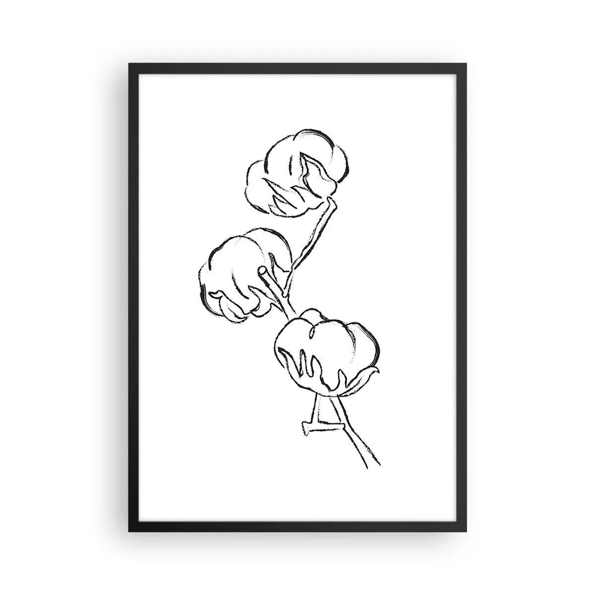 Plakát v černém rámu - Minimalistická skica bavlníkové větve - 50x70cm - Bavlněné chmýří - Moderní nástěnná dekorace do obývacího pokoje a ložnice ARTTOR