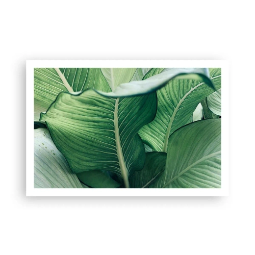 Plakát - Intenzivně zelený život - 91x61 cm