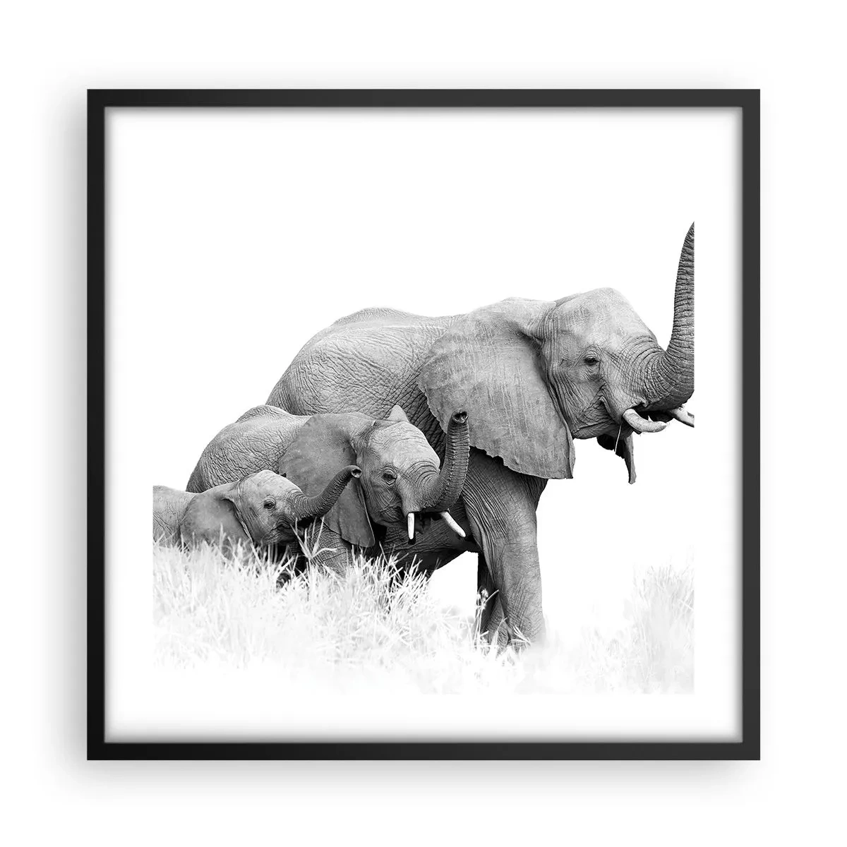 Plakát v černém rámu - Jedna, dvě, tři - 50x50 cm