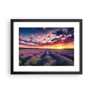 Plakát v černém rámu - Levandulový svět - 40x30 cm