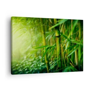 Obraz na plátně - Zelený bambusový les v měkkém světle - 70x50cm - Poznat samotnou zeleň - Moderní nástěnná dekorace do obývacího pokoje a ložnice ARTTOR