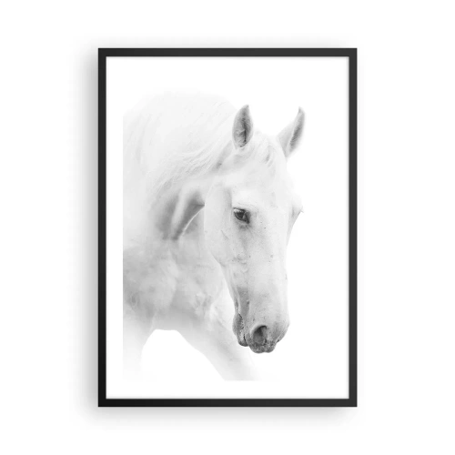 Plakát v černém rámu - Portrét bílého koně v minimalistickém stylu - 50x70cm - Je to přátelství…? - Moderní nástěnná dekorace do obývacího pokoje a ložnice ARTTOR