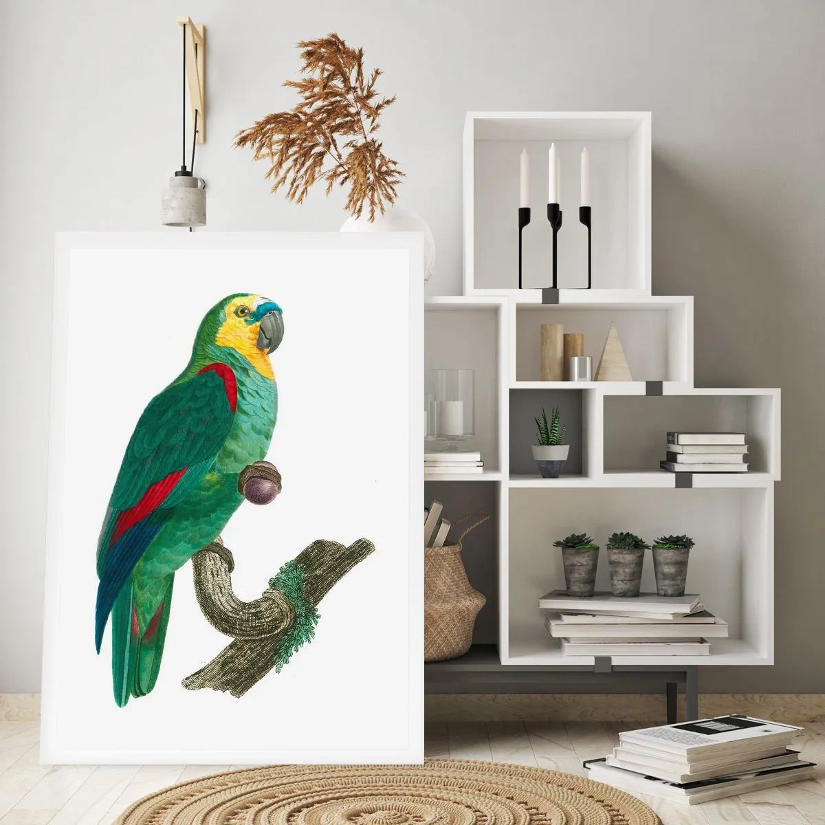 Plakát - Portrét papouška - 40x50 cm