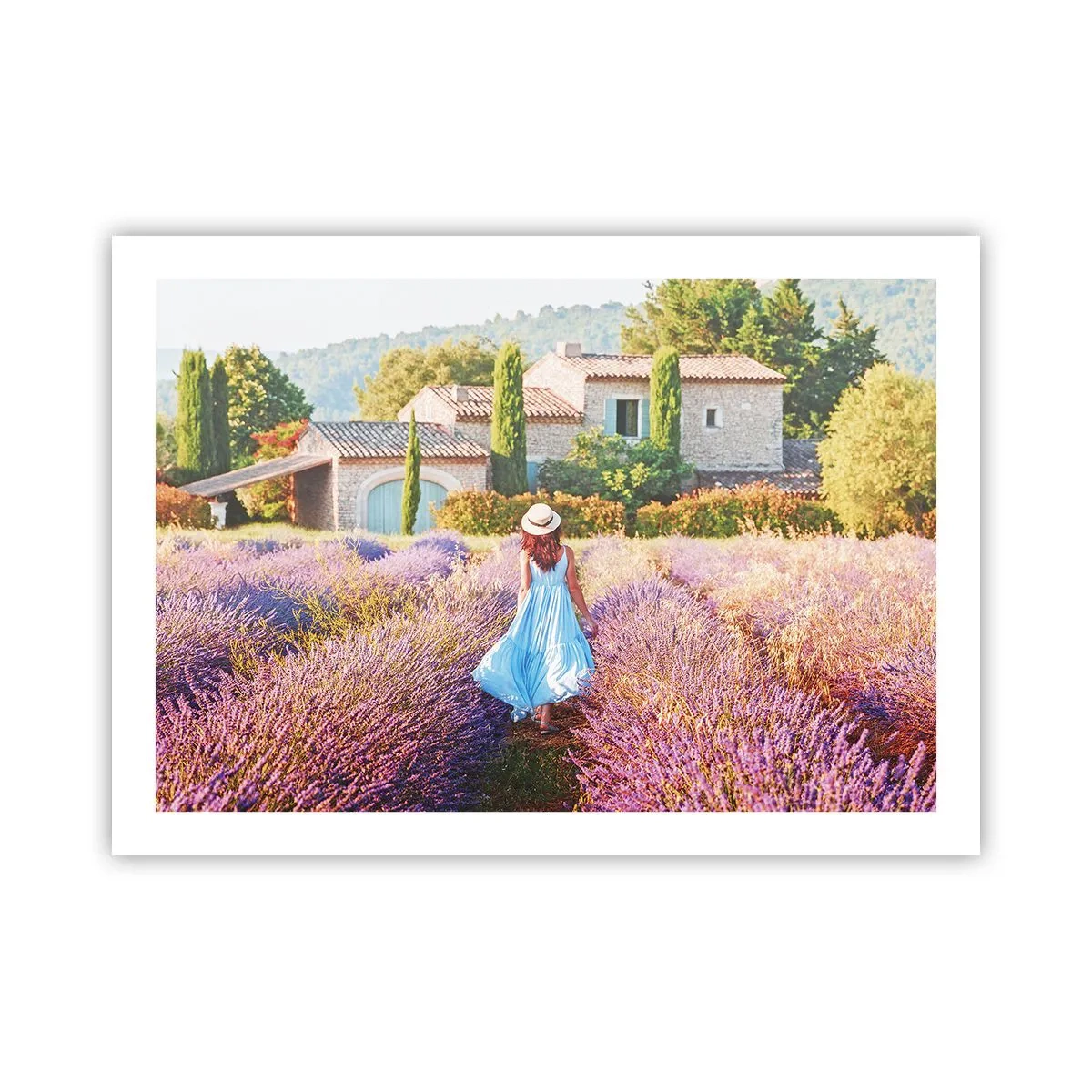 Plakát - Levandulová dívka - 70x50 cm