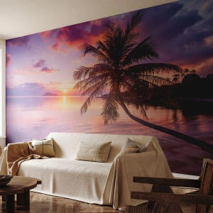 Fototapeta Premium Canvas - Blahobyt až po okraj - Krajina, Kokosová palma, Moře - 400x280 cm