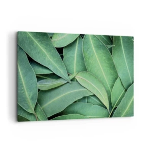 Obraz na plátně - Šťavnaté a svěží - 120x80 cm