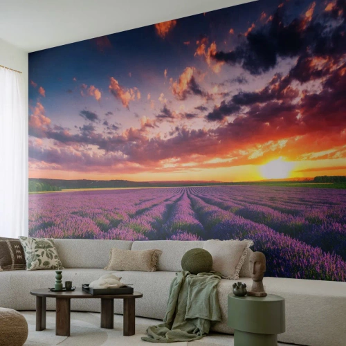Fototapeta Premium Sand - Levandulový svět - Krajina, Levandulové pole, Levandule - 100x70 cm