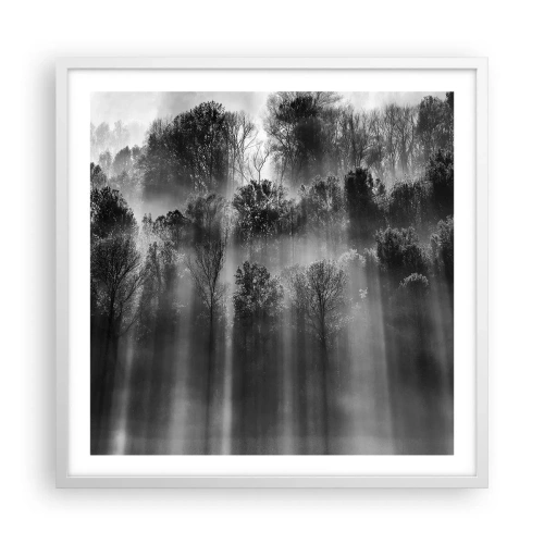 Plakát v bílém rámu - V paprscích světla - 60x60 cm