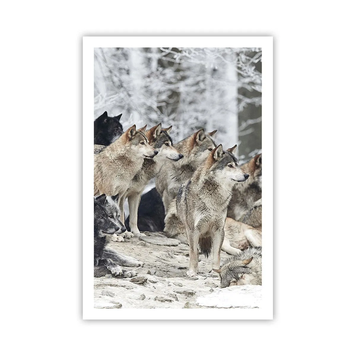 Plakát - Rodina a přátelé - 61x91 cm