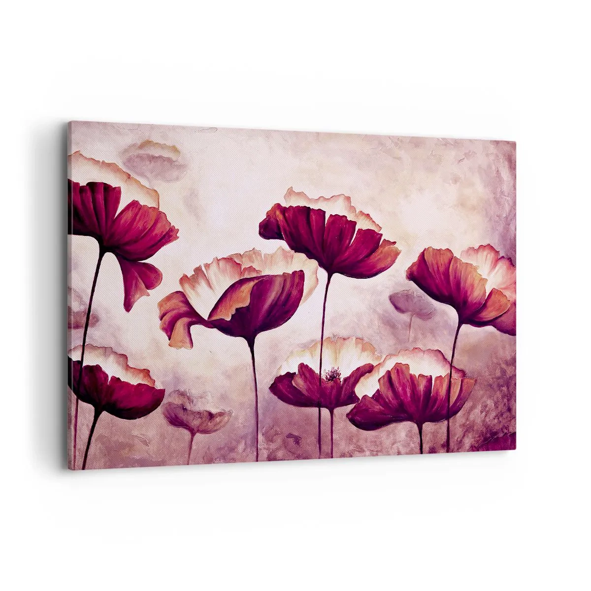 Obraz na plátně - Červený a bílý plátek - 120x80 cm