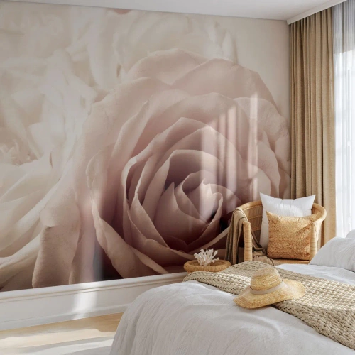 Fototapeta Samolepicí Deluxe Sticker - V srdci růže - Růže, Květiny, Romantický - 300x210 cm