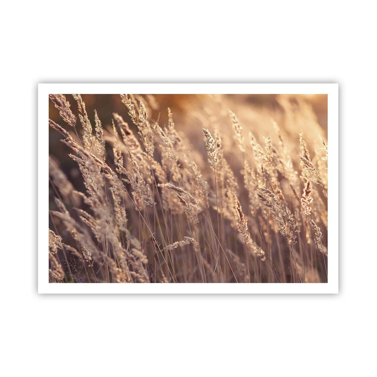 Plakát - Připraveni přivítat podzim - 100x70 cm