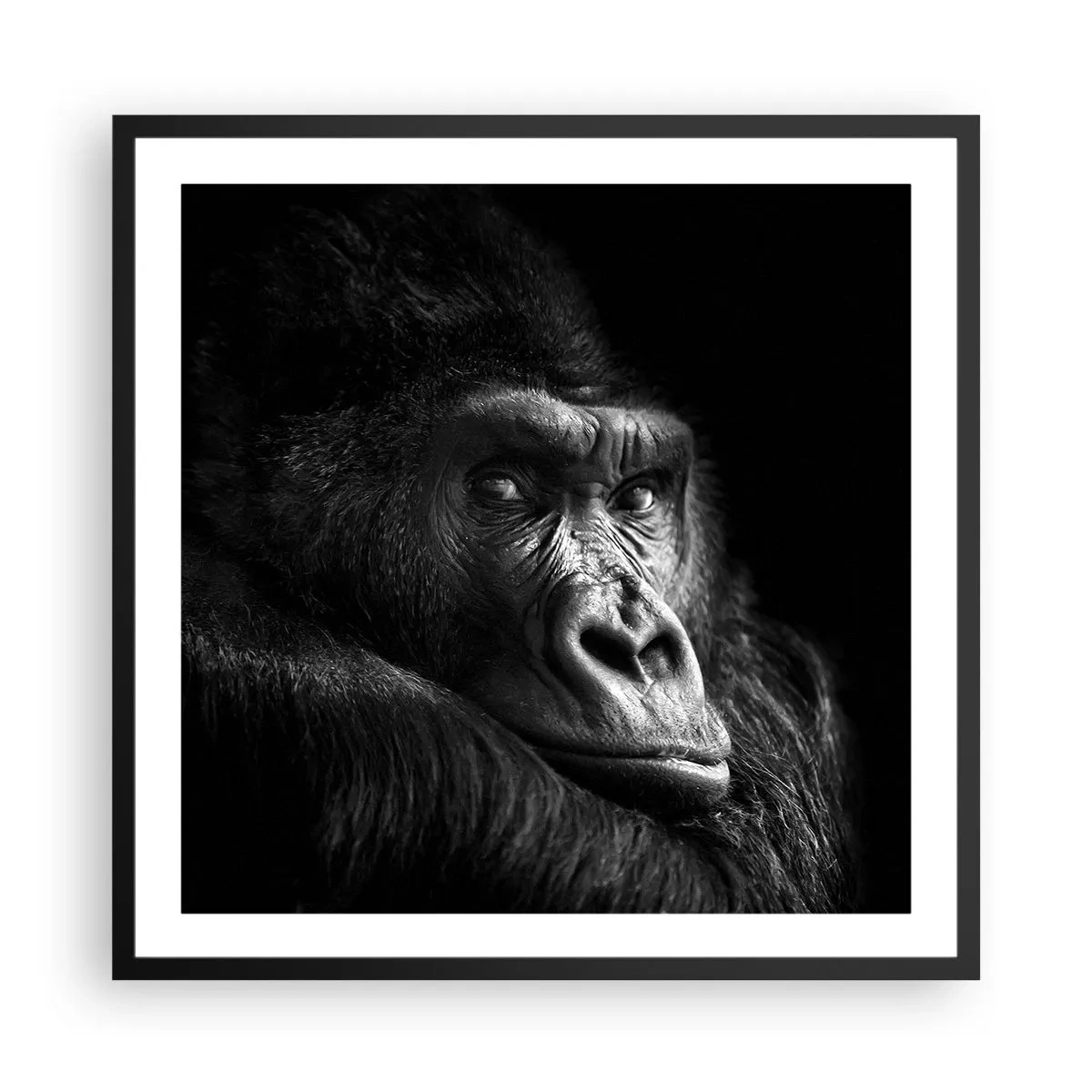 Plakát v černém rámu - Na co tak koukáš? - 60x60 cm