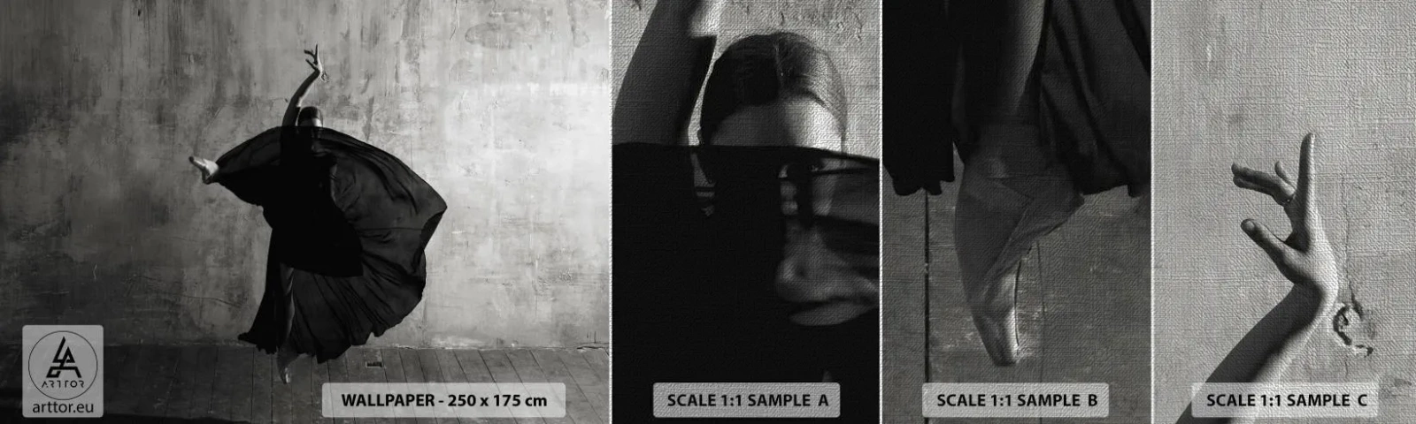 Vzor Fototapety Premium Canvas - Plné vášně - Balerína, Tanec, Balet - 100x30 cm