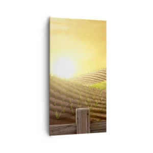 Obraz na plátně - Farma jako z pohádky - 65x120 cm