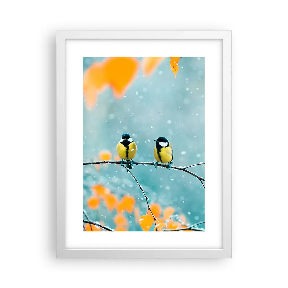 Plakát v bílém rámu - Ptačí drby - 30x40 cm